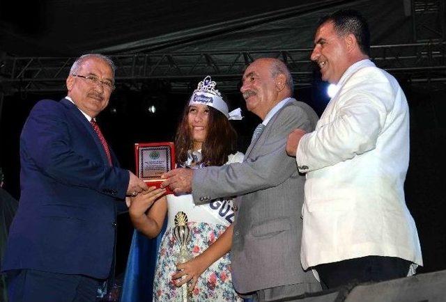 Tarsus Üzüm Ve Kültür Festivali Başladı