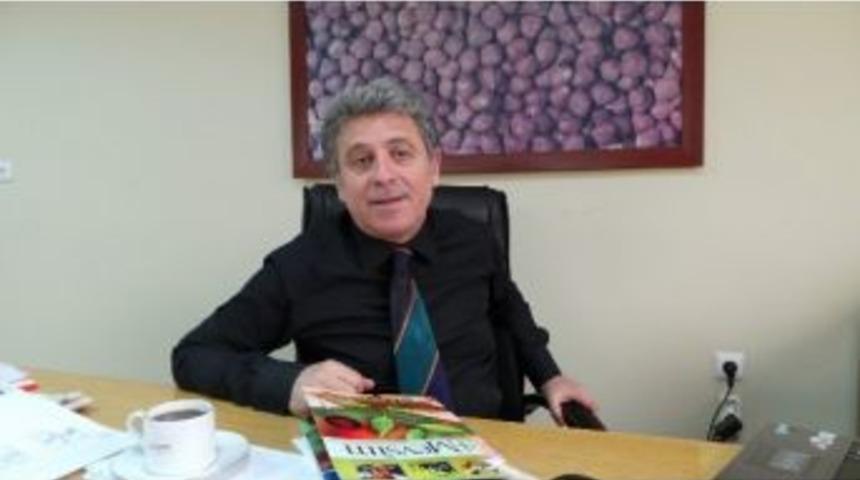 Fındık &Uuml;retimindeki Verim D&uuml;ş&uuml;kl&uuml;ğ&uuml;ne Farklı Bir Bakış