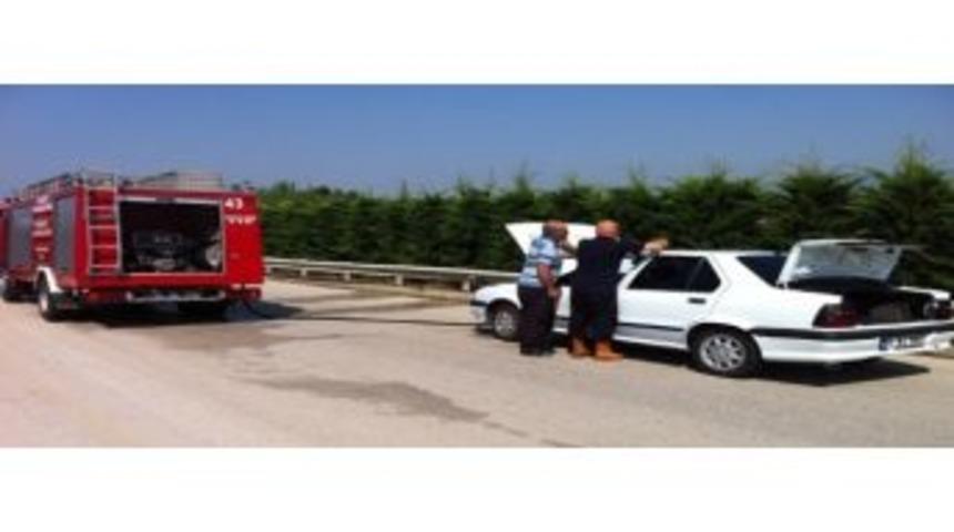 Ara&ccedil; Yangını