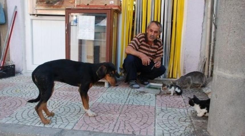 Duyarlı Esnaftan Sokak Hayvanlarına Su Kabı