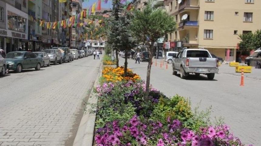 Belediye&rsquo;nin Ektiği &Ccedil;i&ccedil;ekler Hakkari&rsquo;ye Renk Kattı