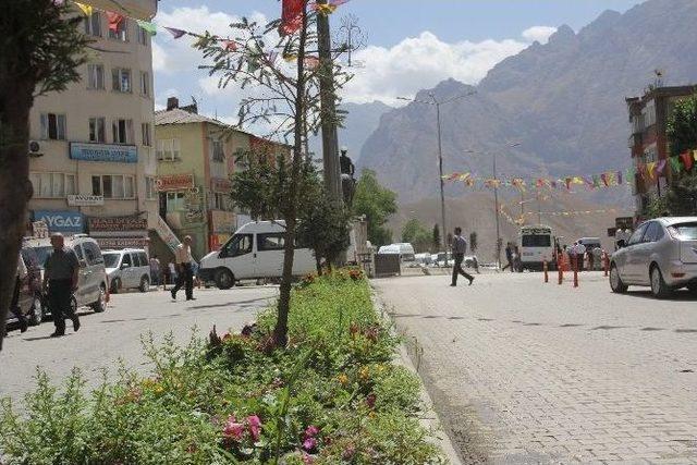 Belediye’nin Ektiği Çiçekler Hakkari’ye Renk Kattı