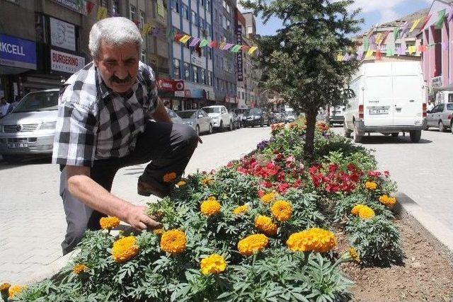 Belediye’nin Ektiği Çiçekler Hakkari’ye Renk Kattı