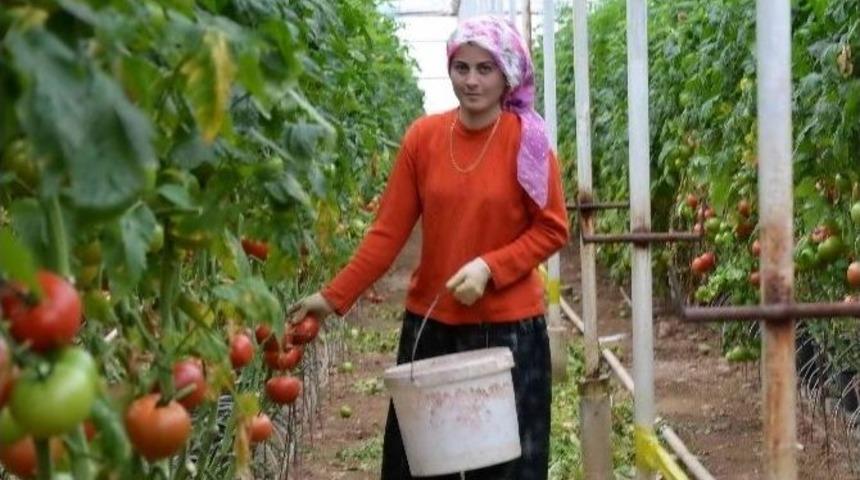 Seralarda Sıcak Suya &Ccedil;eki D&uuml;zen Geliyor