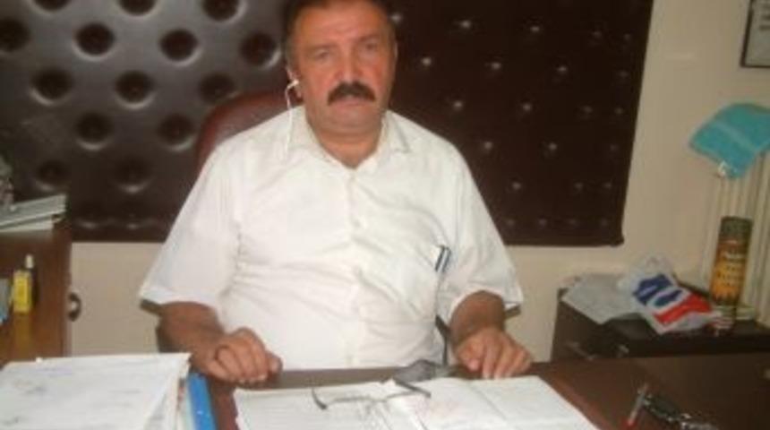 K&ouml;rfez&rsquo;de Zeytin Sineği İla&ccedil;laması Başlıyor