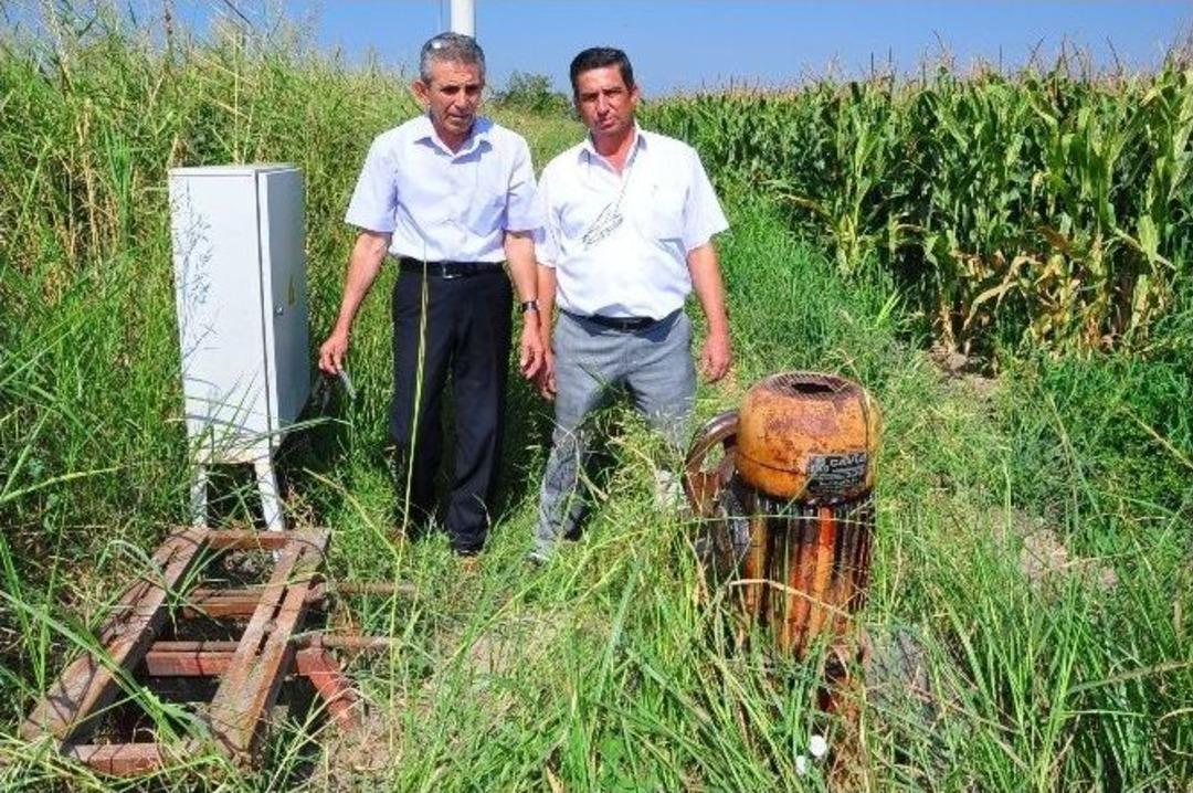 Hırsızlar Ovalara Dadandı