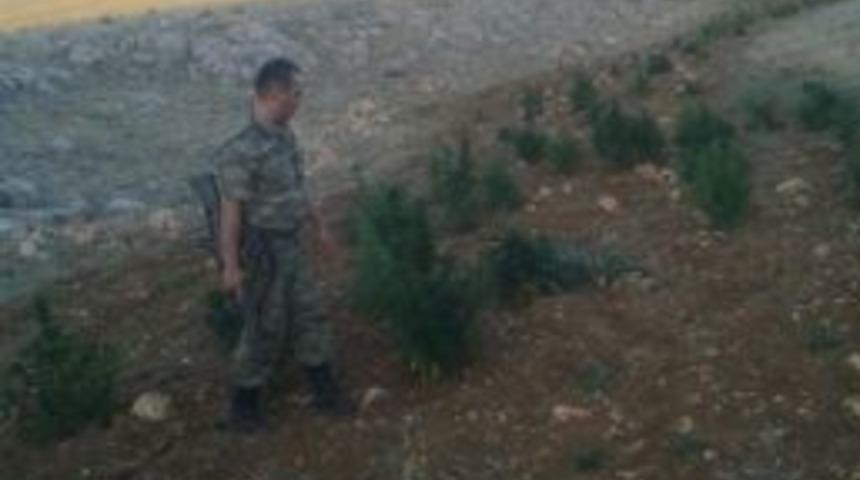 Elbistan'da Uyuşturucu Operasyonu