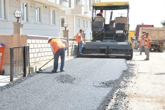 Darıca Belediyesi Her Alanda Çalışıyor