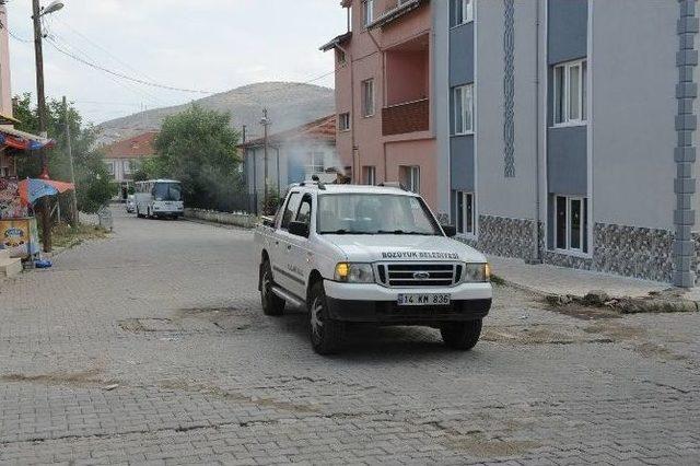 Boz&uuml;y&uuml;k&rsquo;te Haşereyle M&uuml;cadele &Ccedil;alışmaları 1