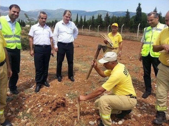 Kemalpaşa'ya Yeni Yangın Üssü