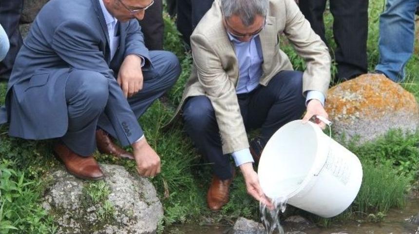 Kırmızı Benekliler Derelerle Buluştu