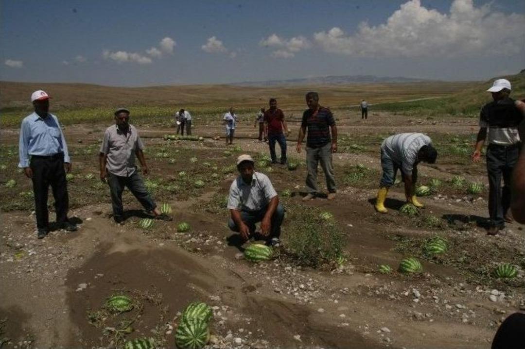 Yozgat&rsquo;ta 3 Bin Dekar Arazi Doludan Zarar G&ouml;rd&uuml;