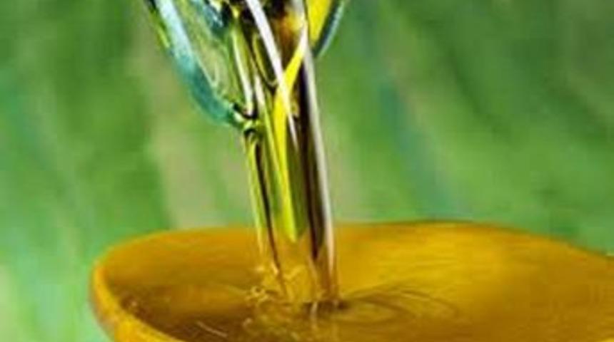 Ayso&rsquo;dan &lsquo;zeytinyağı Duyusal&rsquo; Eğitimi