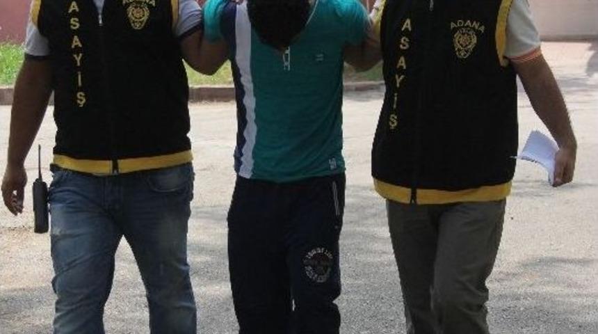 Elektrikli S&uuml;p&uuml;rge, Merdiven, T&uuml;p Ve Televizyon &Ccedil;aldı