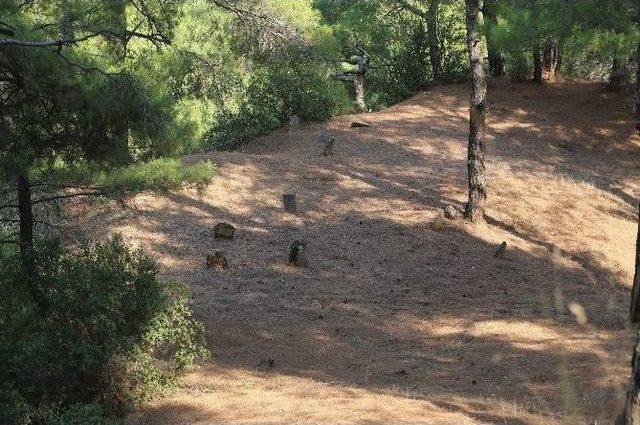 Başkan &Ouml;zakcan&rsquo;dan G&ouml;zpınarı Şehitliği&rsquo;ne Ziyaret 2