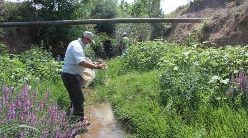 Kırklareli&rsquo;de Sivrisinek M&uuml;cadelesi S&uuml;r&uuml;yor