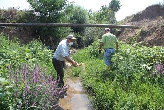 Kırklareli’de Sivrisinek Mücadelesi Sürüyor