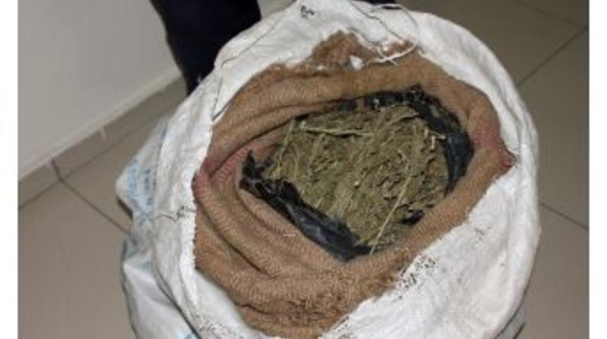 8 Kilogram Esrar Ele Ge&ccedil;irildi