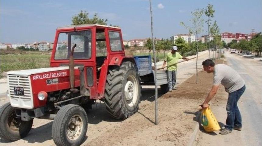 Kırklareli Şehir Mezarlığı'nda &Ccedil;evre D&uuml;zenlemesi Yapılıyor