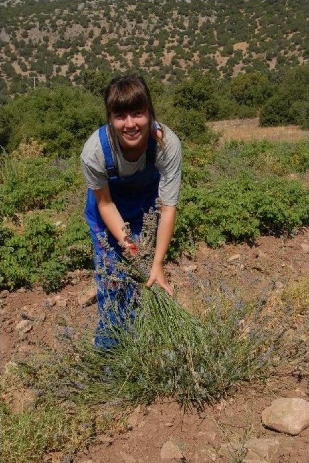 Burdur G&ouml;l&uuml; Lavantayla Kurtulacak
