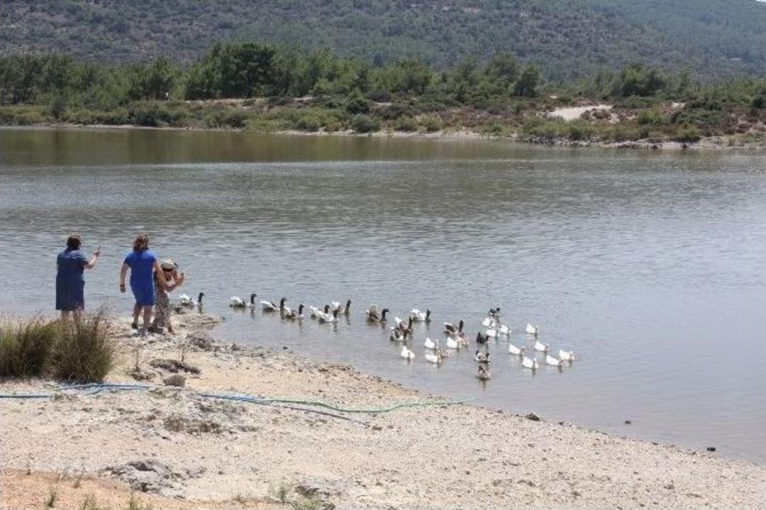 Urla&rsquo;nın G&ouml;lleri K&ouml;y Turizme Kazandırılacak