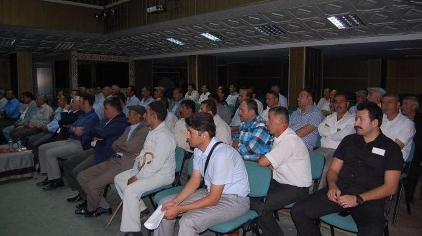 G&uuml;roymak&rsquo;ta Sığır &Ouml;l&uuml;mleri