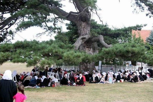 Dolu Baba Hazretleri Dualarla Anıldı