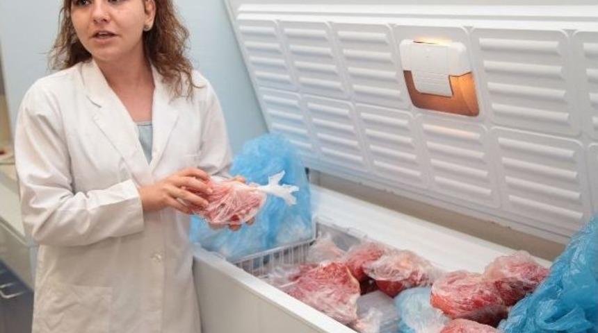 S&uuml;per Domatesler Geliyor