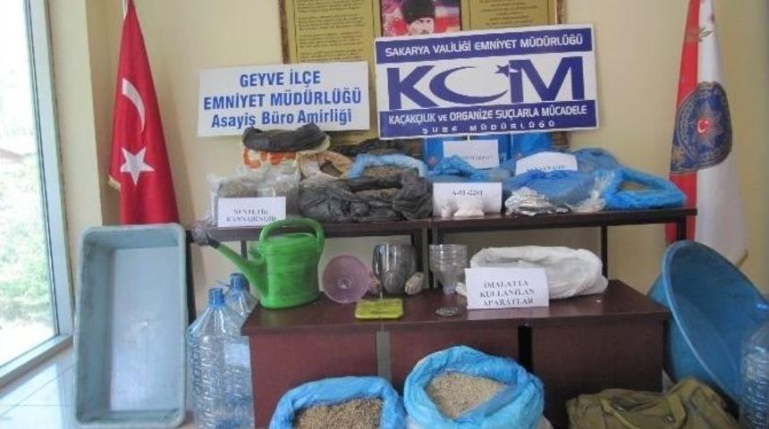 Sakarya'da 34 Kilo Bonzai Ele Ge&ccedil;irildi