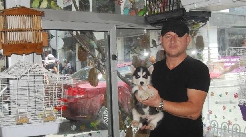 Pet Shop Sahibinden Vatandaşlara Uyarı