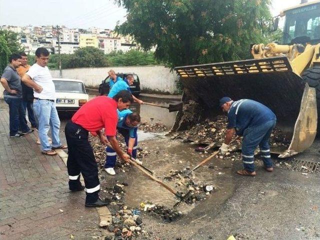 İzmir’de Devrilen Ağaç Yolu Kapattı