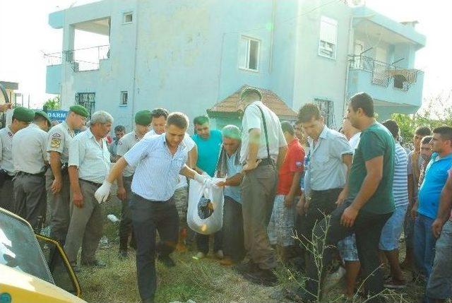 Hamile Eşini Eve Bıraktı, Kazada Öldü