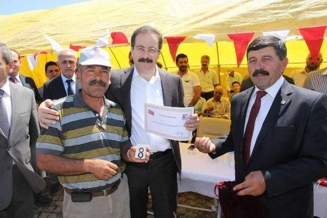 Yozgat'ta Çiftçilere 40 Tane Damızlık Düve Dağıtıldı