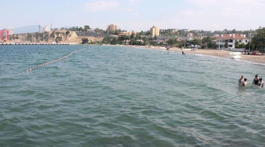 Gemsaz Sahilinde Balık &Ouml;l&uuml;mleri