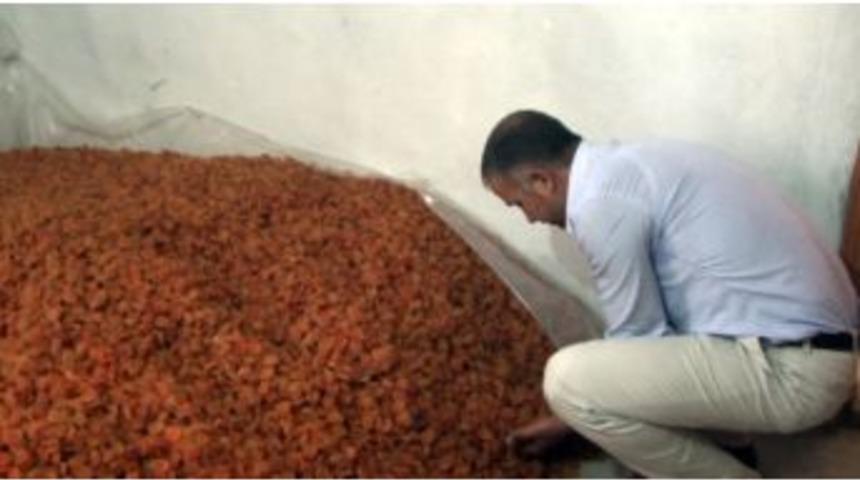 Baskil&rsquo;de Kayısı &Uuml;reticilerinin Sorunları