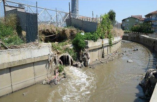 Başkan Nuhoğlu’ndan Kadıköy'de “denize Girmeyin'' Uyarısı