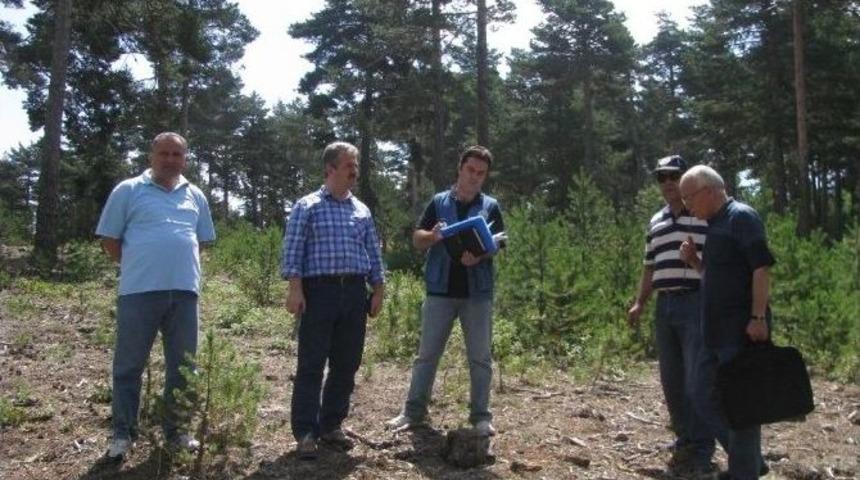 Yeni M&uuml;d&uuml;r T&uuml;rkmen Dağı'nı Gezdi