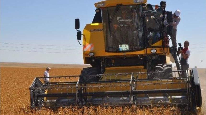 Konya&rsquo;da Aspir Hasadı