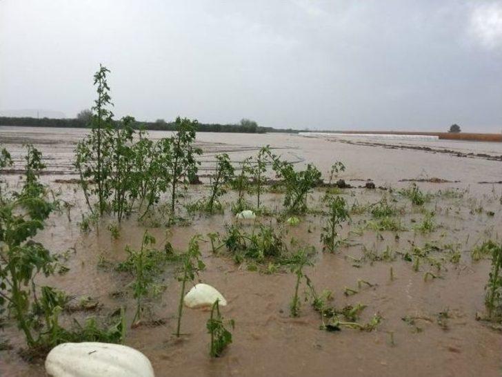 Yağışlar Ekili Alanlarda Yüzde 40’lara Varan Oranda Zarara Yol Açtı