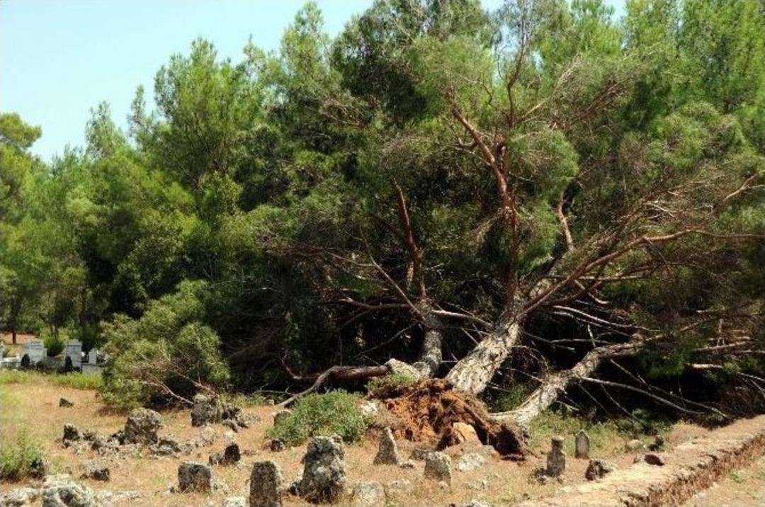 Antalya&rsquo;da Hortum