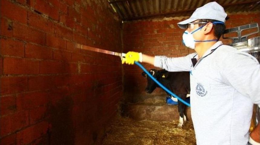 Denizli&rsquo;de Haşere İle M&uuml;cadele