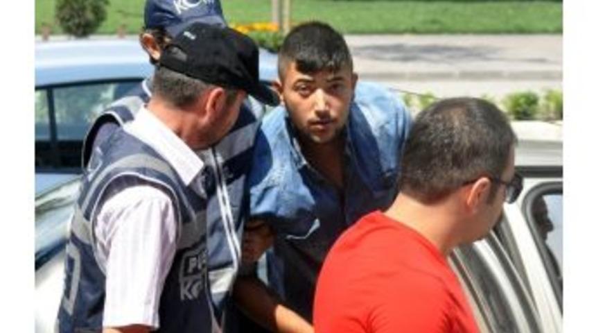 Bolu&rsquo;da Bonzai Satıcıları G&ouml;zaltına Alındı