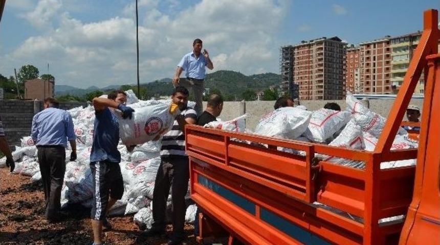 Fatsa'da K&ouml;m&uuml;r Dağıtımı Başladı