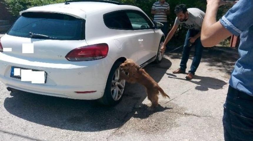 Kırıkkale'de 32 Kilo Eroin Ele Ge&ccedil;irildi