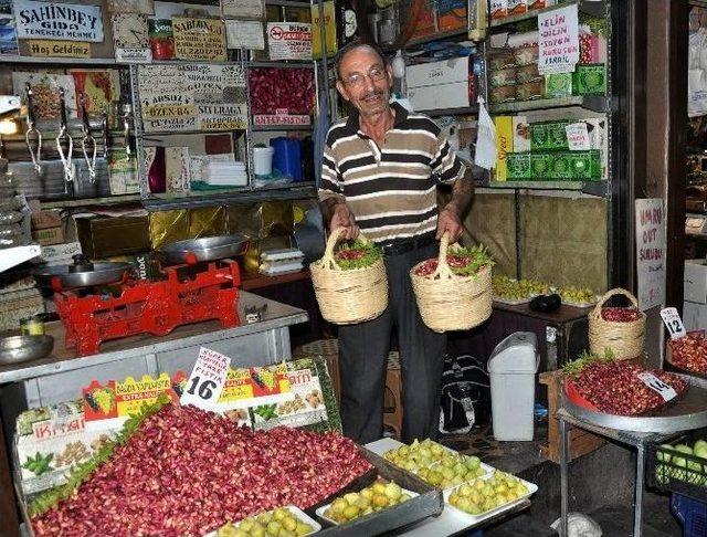 Taze Ben Fıstık Fiyatları El Yakıyor