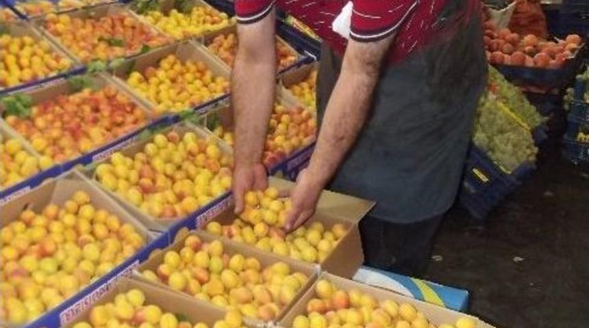 Mevsimin Son Taze Kayısıları Manavlarda T&uuml;kenmek &Uuml;zere