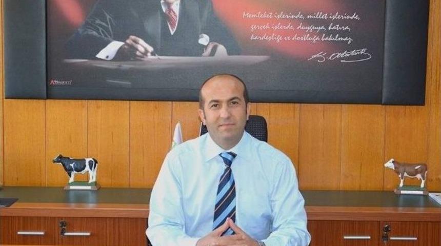 Besilik Erkek Sığır Desteklemesi 1. D&ouml;nem Hak Edişleri Yapıldı