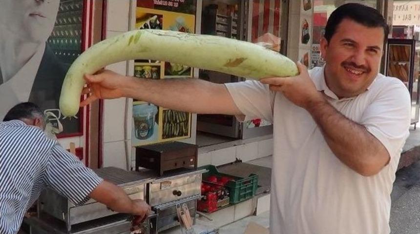1,5 Bu&ccedil;uk Metrelik Kabaklar G&ouml;renlerin İlgisini &Ccedil;ekiyor
