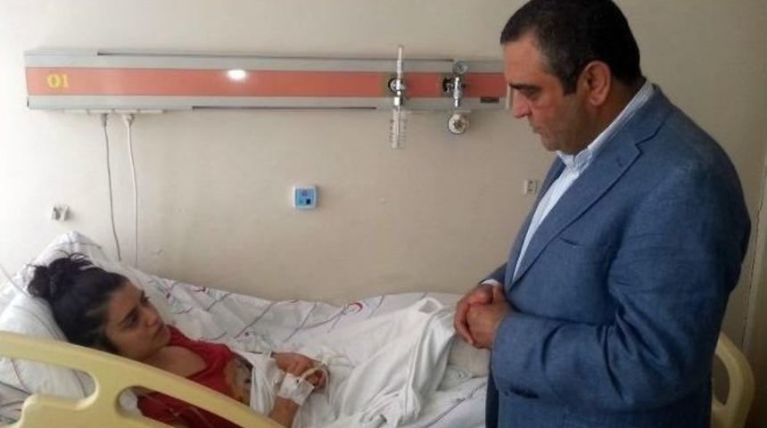 Bacağı Kesilen K&uuml;bra Dere İlk Kez G&ouml;r&uuml;nt&uuml;lendi