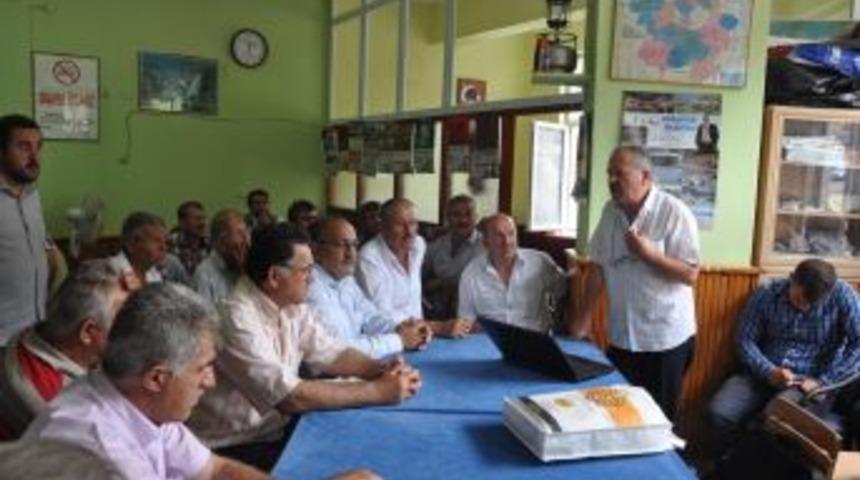 Kestane Balı &Uuml;retimi Azaldı